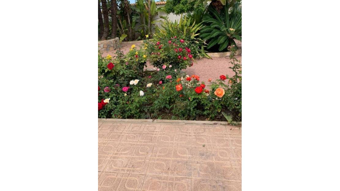 Sale - Villa - Rojales - Ciudad Quesada