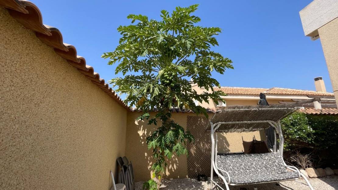 Sale - Villa - Rojales - Quesada