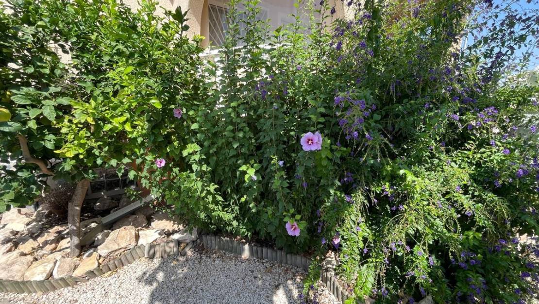 Sale - Villa - Rojales - Quesada