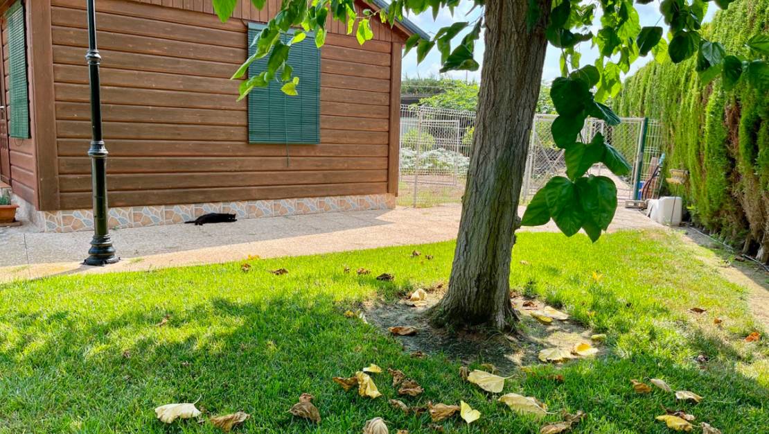 Sale - Villa - San Fulgencio - La Marina