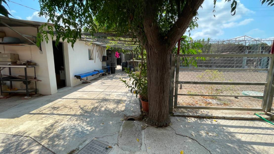 Sale - Villa - San Fulgencio - La Marina