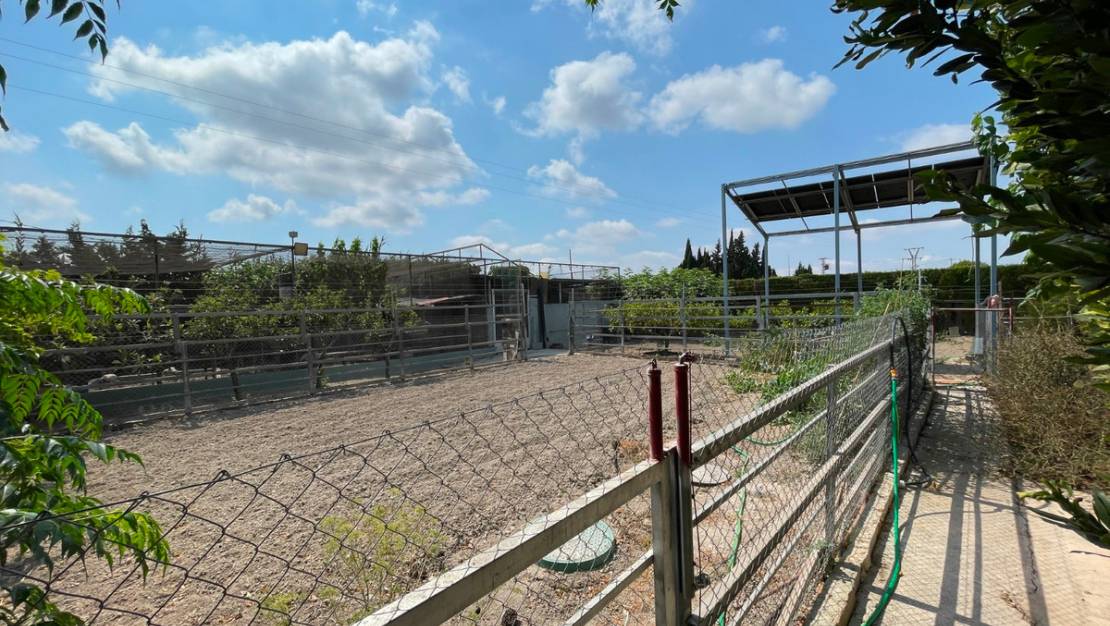 Sale - Villa - San Fulgencio - La Marina