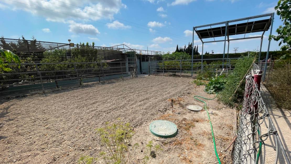 Sale - Villa - San Fulgencio - La Marina
