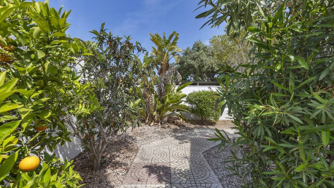 Sale - Villa - San Fulgencio - La Marina