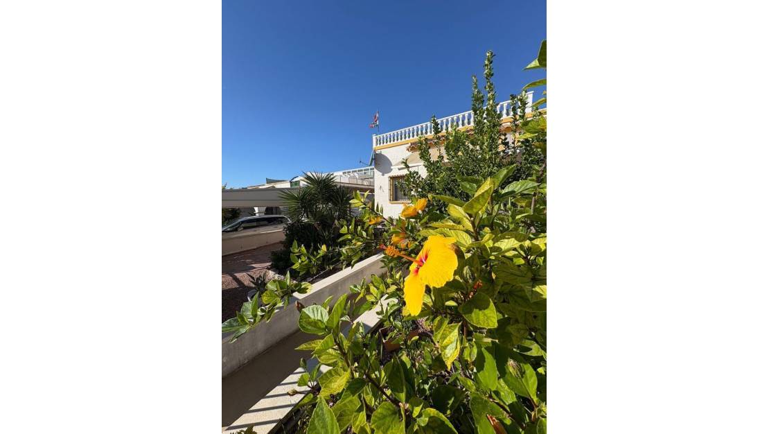 Sale - Villa - San Fulgencio - San Fulgencio Centro