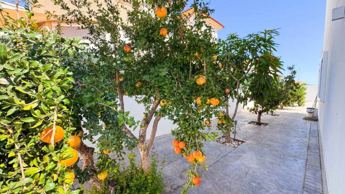 Sale - Villa - San Fulgencio - San Fulgencio Centro