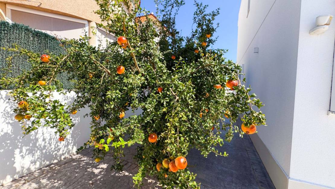 Sale - Villa - San Fulgencio - San Fulgencio Centro