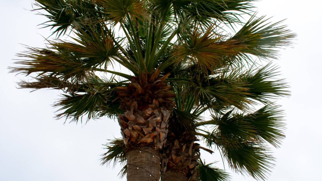 Sale - Villa - San Javier - La Manga Del Mar Menor