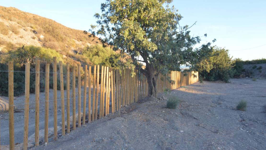 Sale - Villa - San Javier - Las Palomas