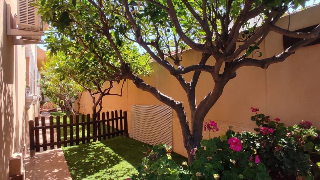 Sale - Villa - San Javier - San Javier Centro