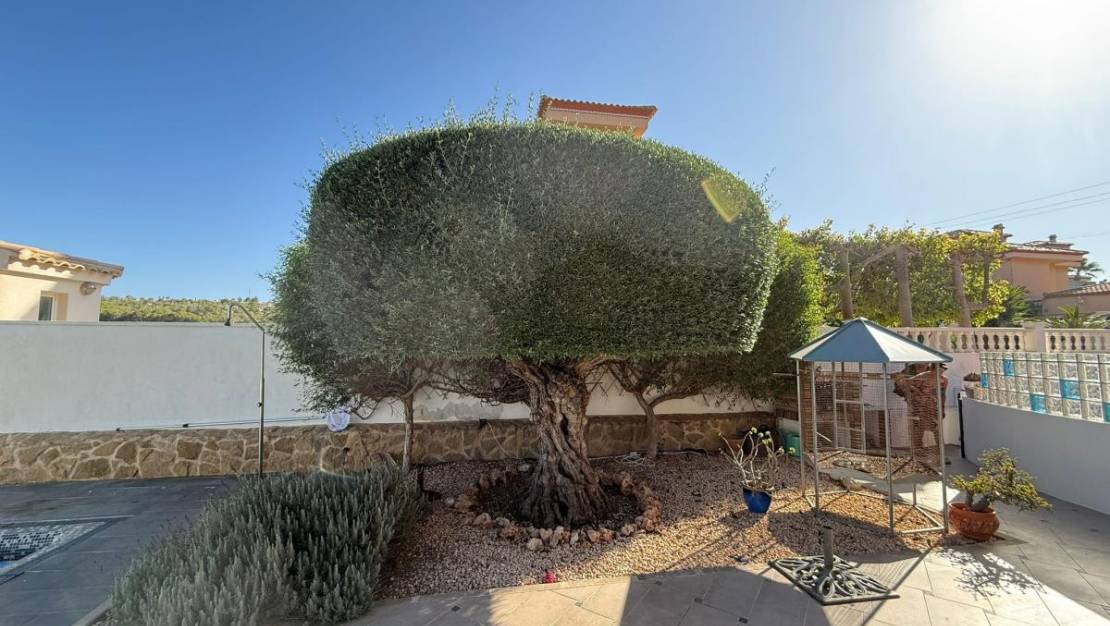 Sale - Villa - San Miguel de Salinas - San Miguel de Salinas Centro