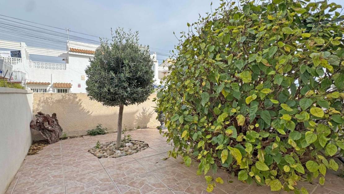 Sale - Villa - San Miguel de Salinas - San Miguel de Salinas Centro