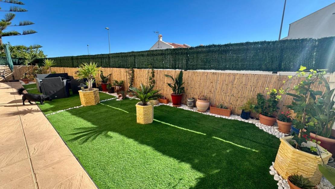 Sale - Villa - San Miguel de Salinas - San Miguel de Salinas Centro