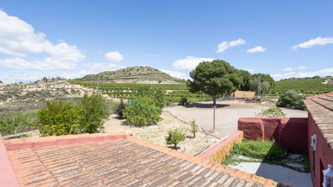 Sale - Villa - San Miguel de Salinas - San Miguel de Salinas Centro