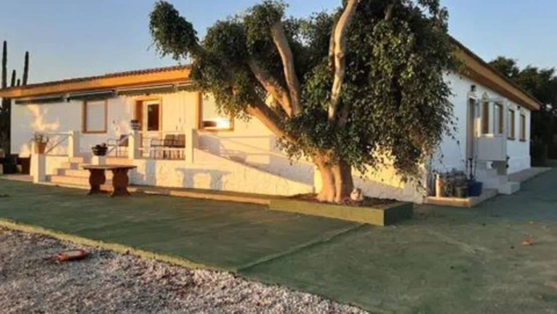 Sale - Villa - San Miguel de Salinas - San Miguel de Salinas Centro