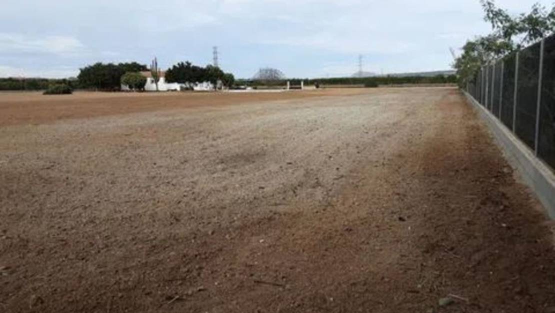 Sale - Villa - San Miguel de Salinas - San Miguel de Salinas Centro