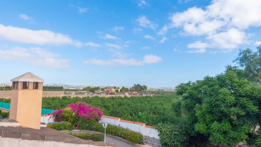 Sale - Villa - San Miguel de Salinas