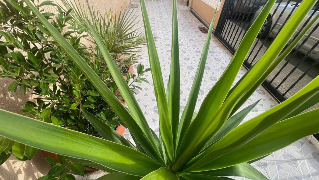 Sale - Villa - San Pedro del Pinatar - Lo Pagan