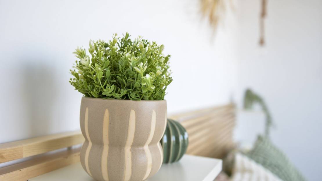 Sale - Villa - San Pedro del Pinatar - San Pedro del Pinatar Centro