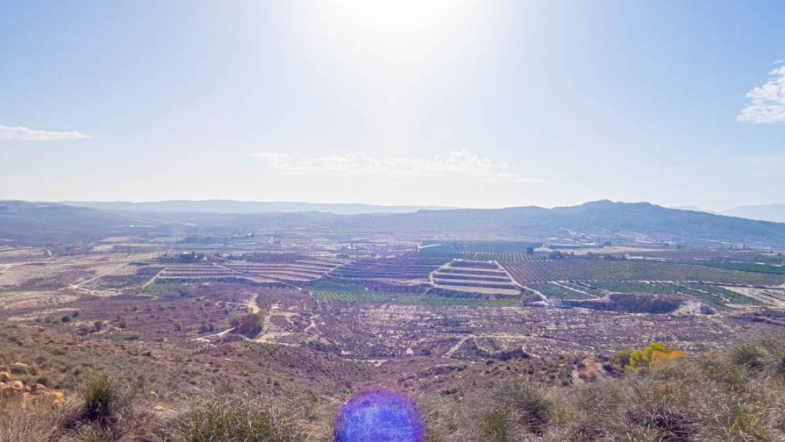 Sale - Villa - Torremendo