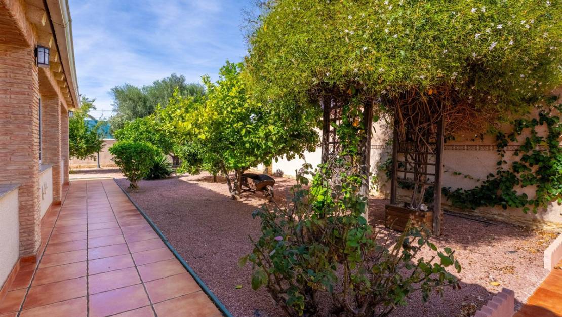 Sale - Villa - Torrevieja - El chaparral