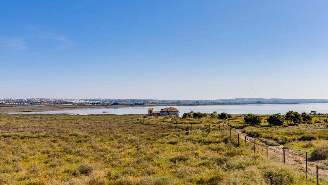 Sale - Villa - Torrevieja - Jardin del Mar