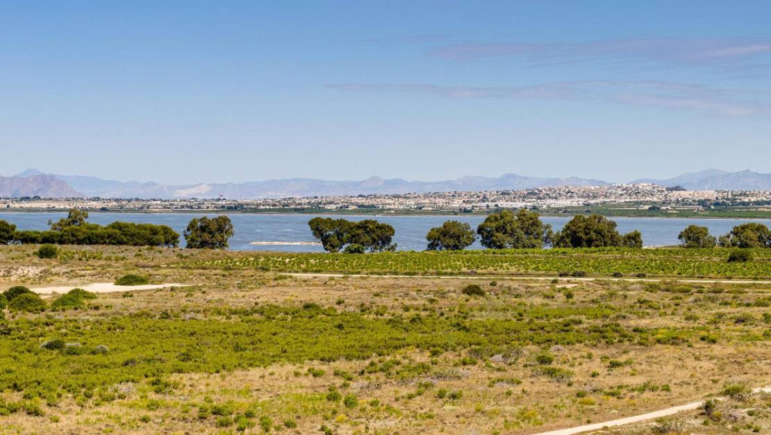 Sale - Villa - Torrevieja - Jardin del Mar