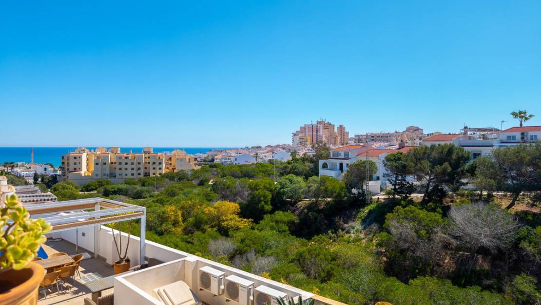 Sale - Villa - Torrevieja - La Mata