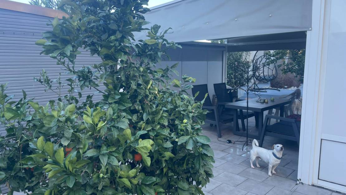 Sale - Villa - Torrevieja - La Mata