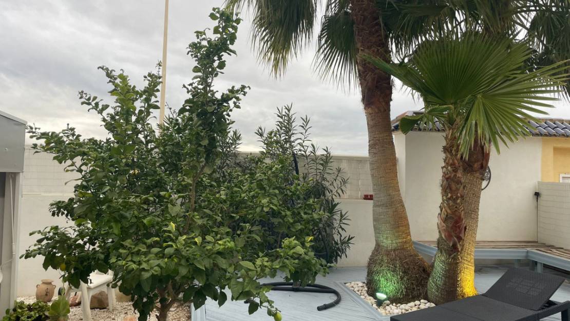 Sale - Villa - Torrevieja - La Mata