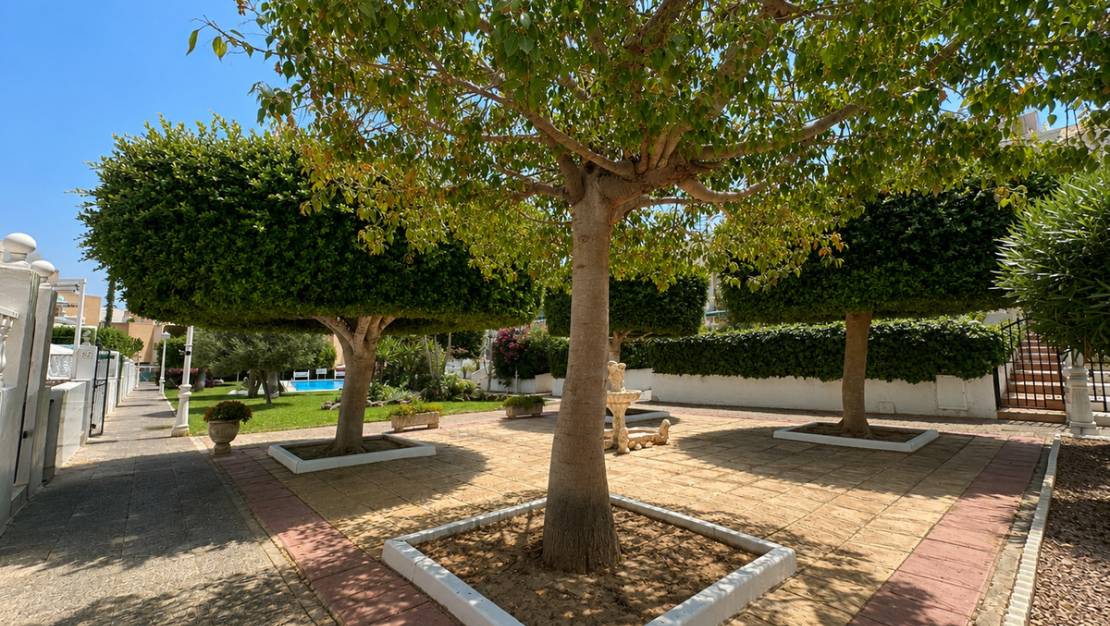 Sale - Villa - Torrevieja - La Mata