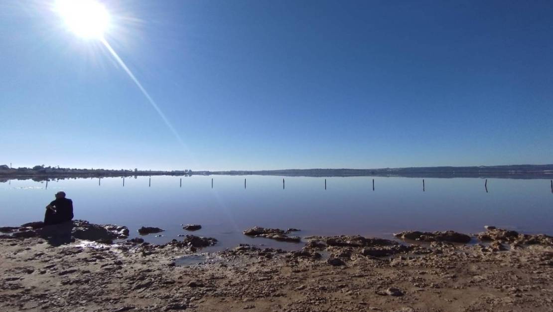 Sale - Villa - Torrevieja - La siesta