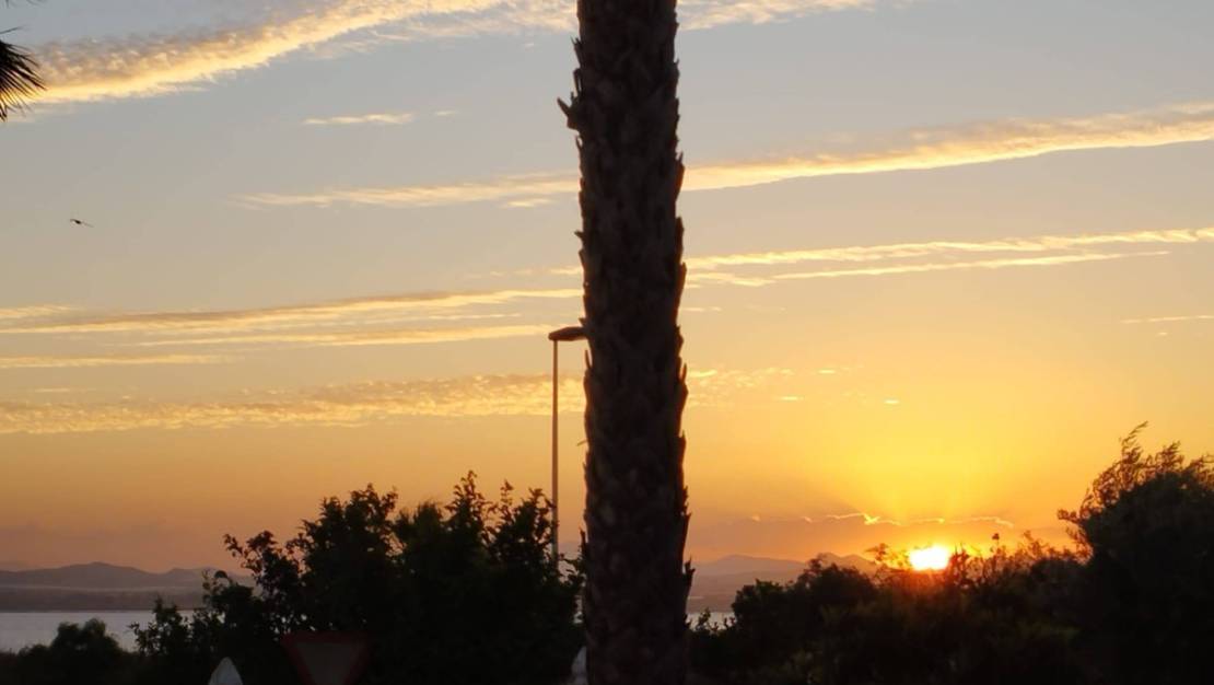 Sale - Villa - Torrevieja - La siesta