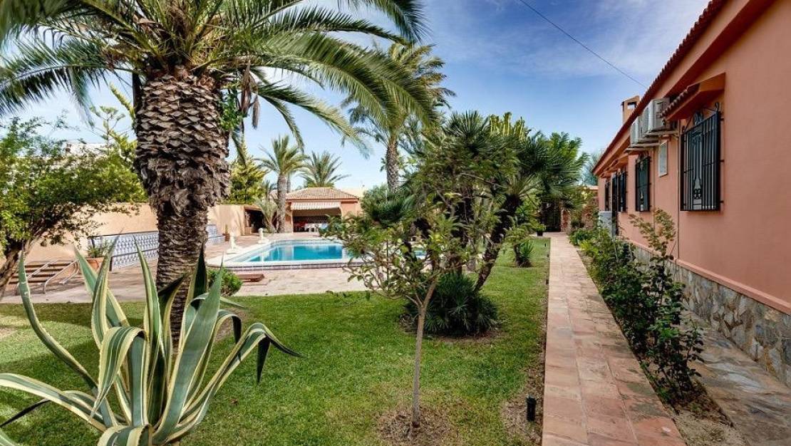 Sale - Villa - Torrevieja - La siesta