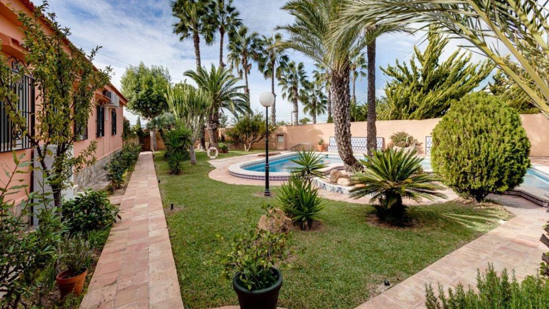 Sale - Villa - Torrevieja - La siesta