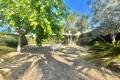 Sale - Villa - Torrevieja - Los Balcones - Los Altos del Edén