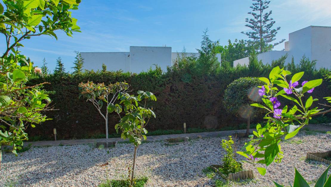 Sale - Villa - Torrevieja - Torre la mata