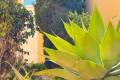 Sale - Villa - Torrevieja - Torre la mata
