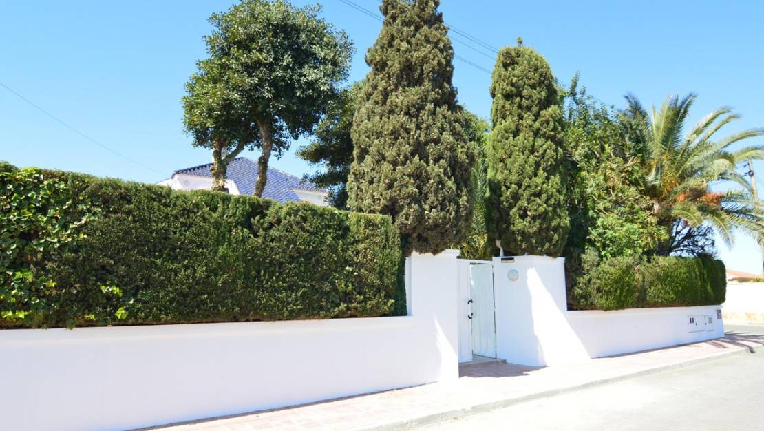 Sale - Villa - Torrevieja - Torrevieja Centro