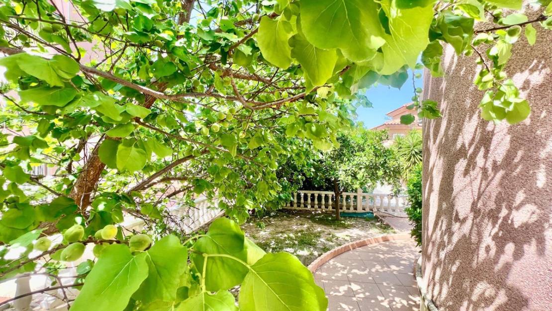 Sale - Villa - Torrevieja - Torrevieja Centro