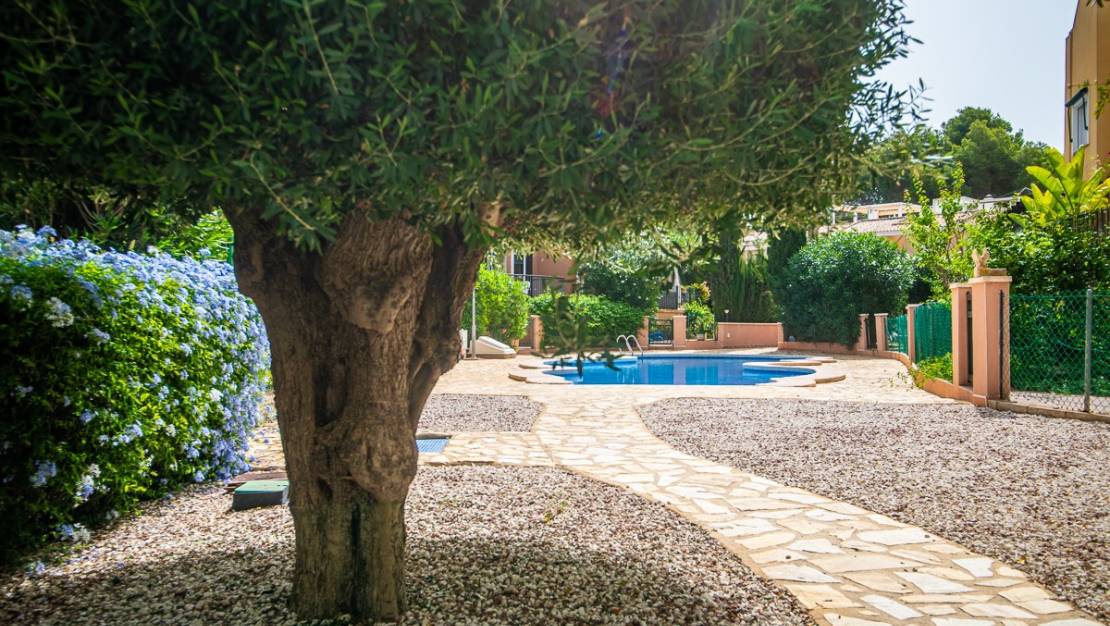 Sale - Villa - Torrevieja - Torrevieja Centro