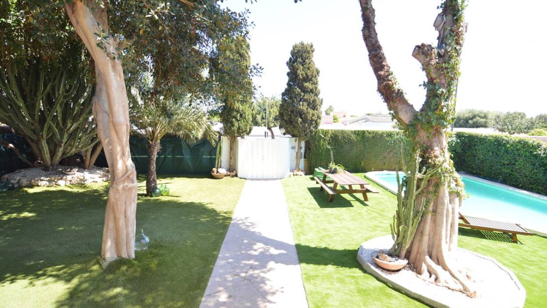 Sale - Villa - Torrevieja - Torrevieja Centro