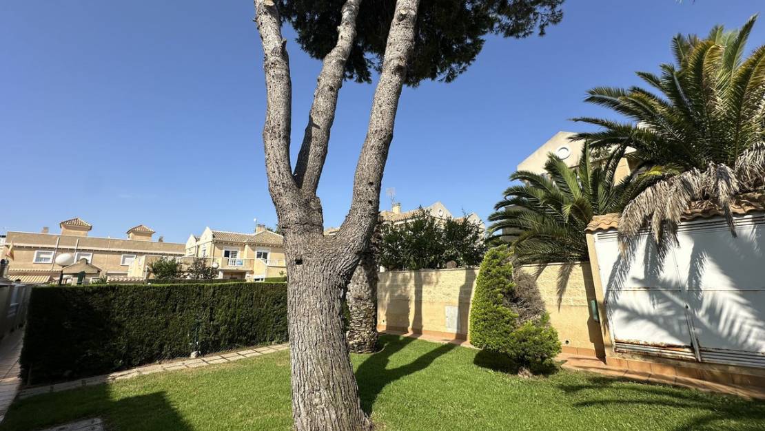 Sale - Villa - Torrevieja - Torrevieja Centro