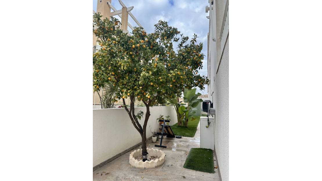 Sale - Villa - Torrevieja - Torrevieja Centro