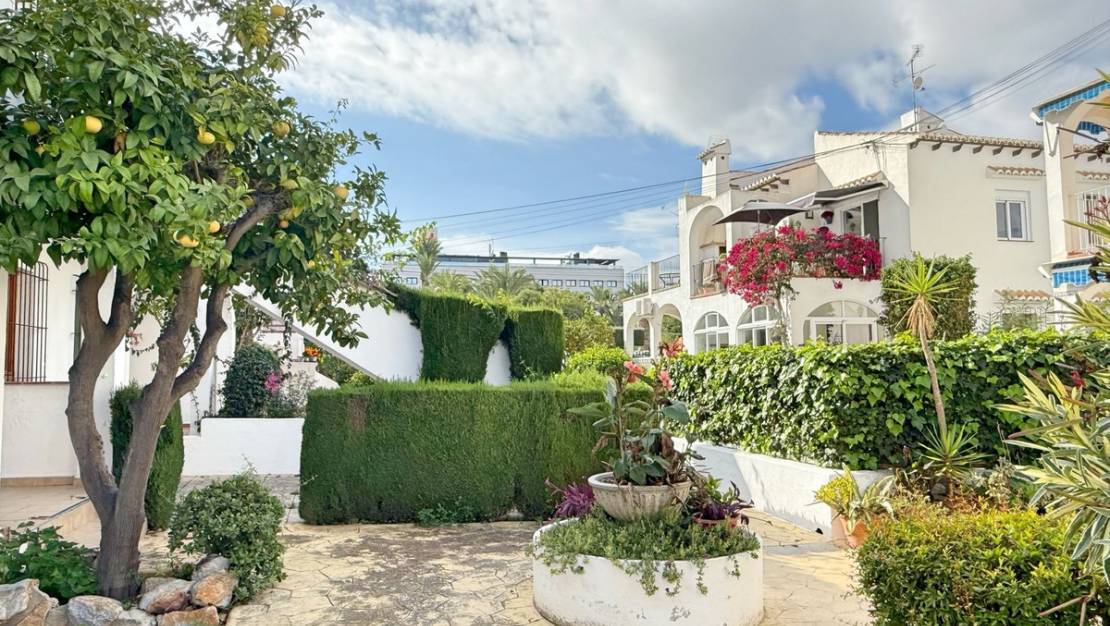 Sale - Villa - Torrevieja - Torrevieja Centro