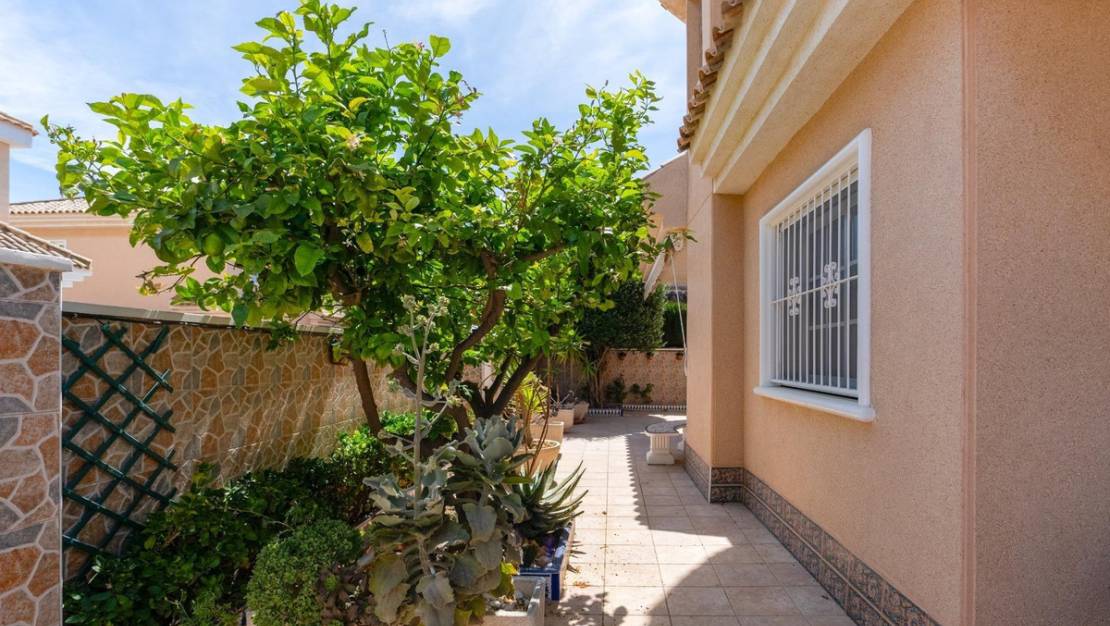 Sale - Villa - Torrevieja - Torrevieja Centro