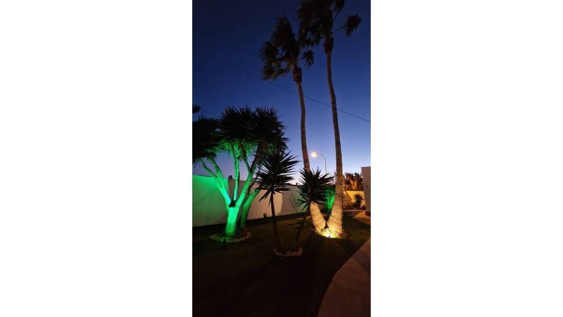 Sale - Villa - Torrevieja - Torrevieja Centro