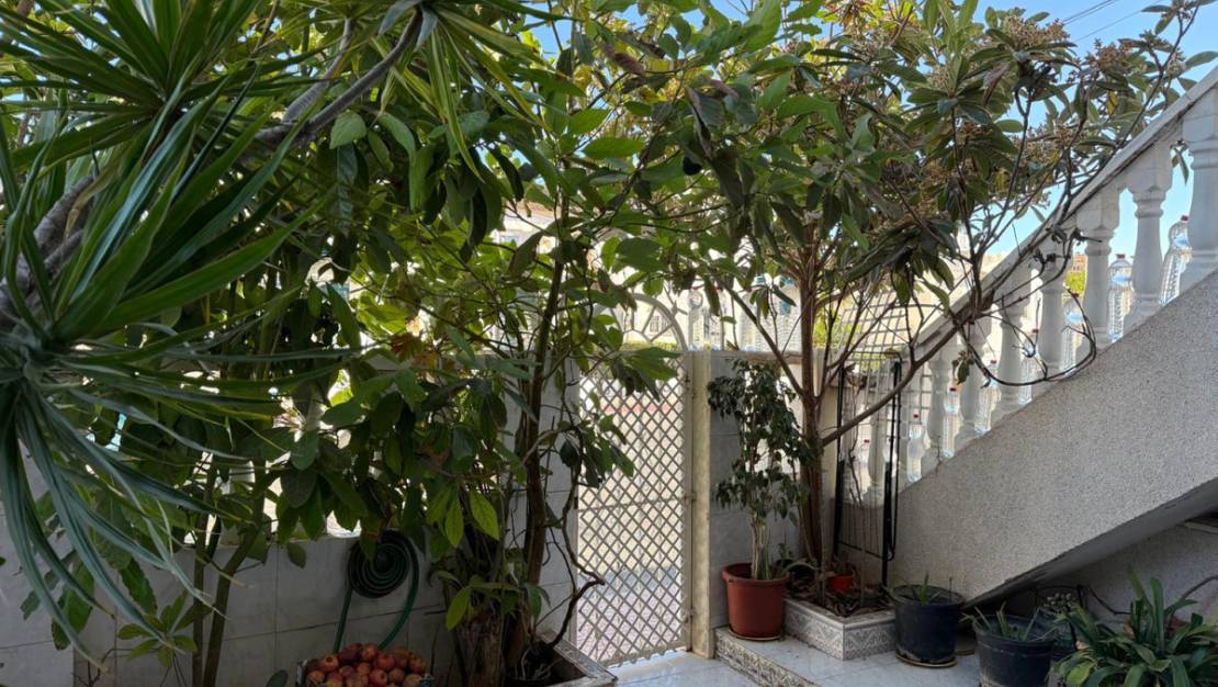 Sale - Villa - Torrevieja - Torrevieja Centro