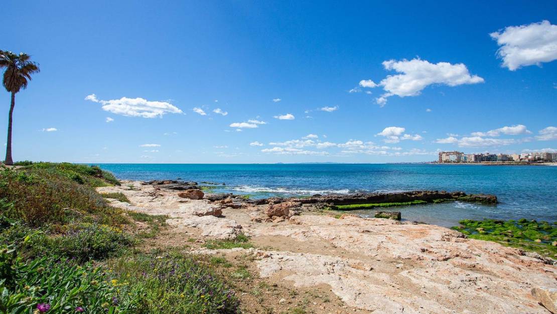 Sale - Villa - Torrevieja - Torrevieja Centro