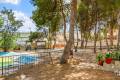 Sale - Villa - Torrevieja - Torrevieja Centro